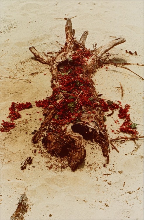 anamendietaartist:Ana Mendieta, Silueta Works in Mexico, 1973-7