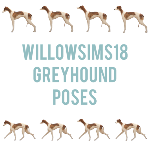 willowsims18