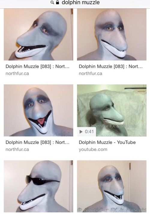 dolphin man on Tumblr