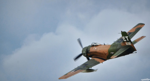 chadscapture:Douglas AD-1 Skyraider “Wiley Coyote”