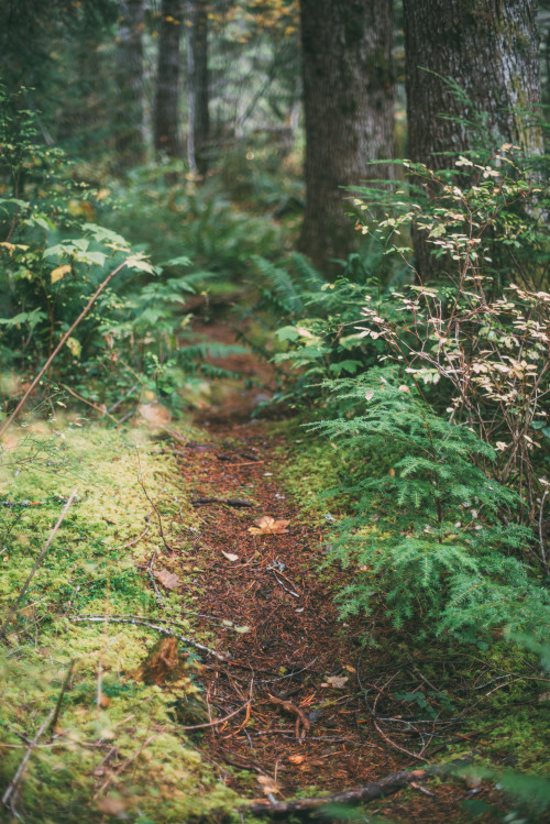 rhiannahoward:hidden trails