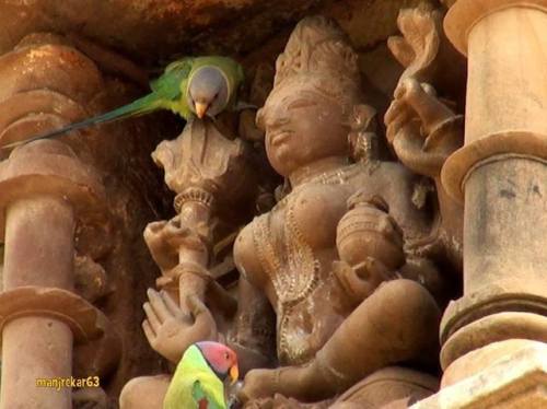 arjuna-vallabha:Goddess with parrots at Krajuharo, photo by...