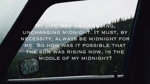 Twilight Midnight Sun Book