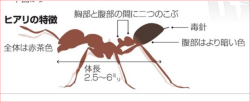 @イロイロ集積所