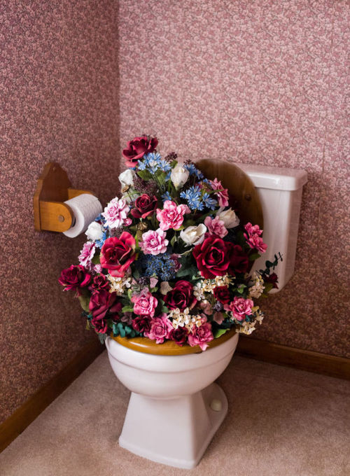 flowartstation:Surrealistic Photography By BROOKE DIDONATO