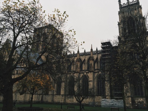 ablogwithaview:The York Minster, November 2015