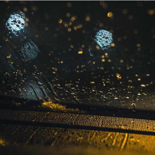 the-rain-keeps-us-alive