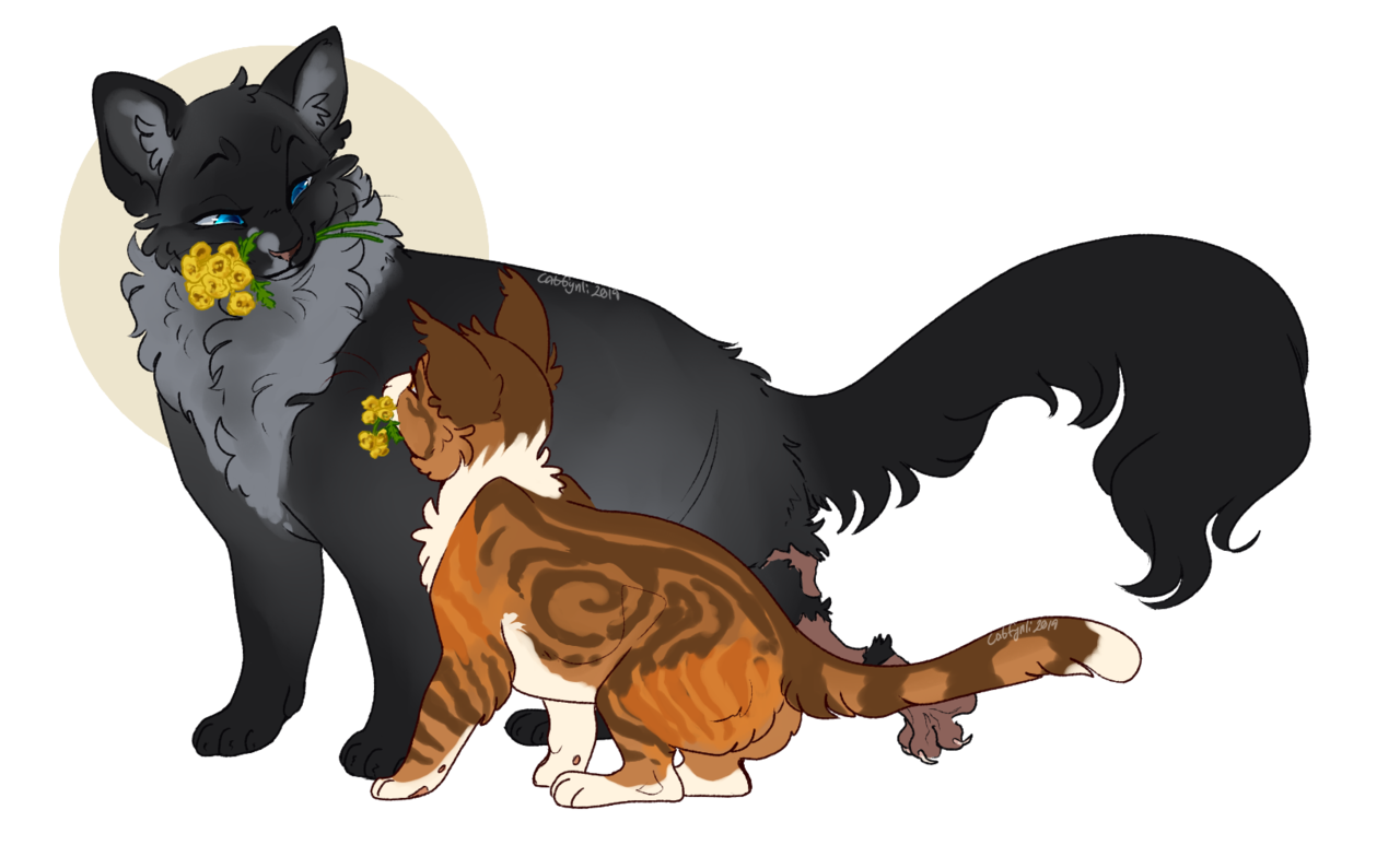 Картинки warrior cats