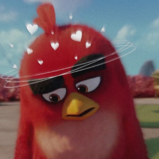 angry birds red on Tumblr