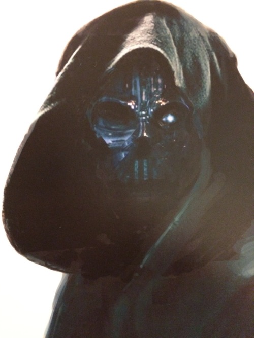 reylophos:Anakin/Vader Ghost – Pre-Production 2013“If we see...