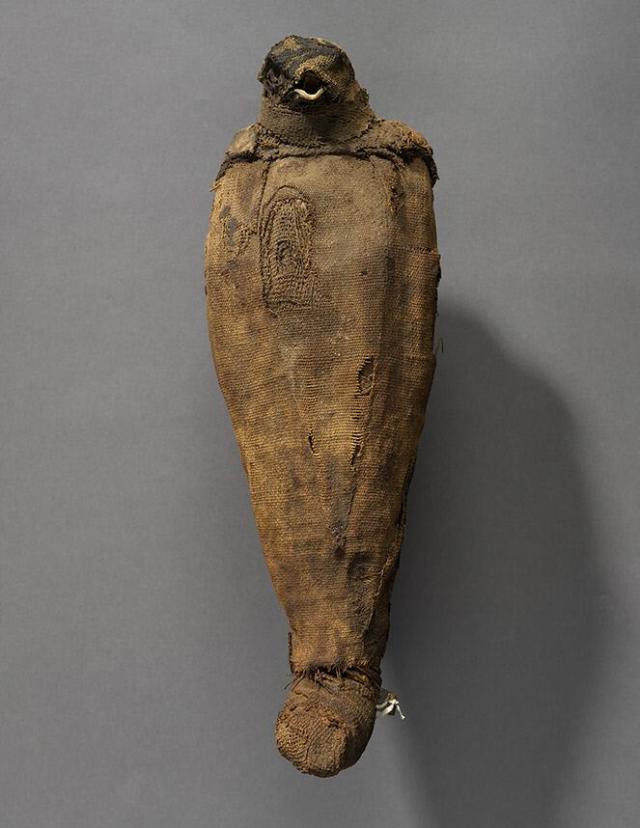 Mummified falcon. Place of origin: Egypt Period:...