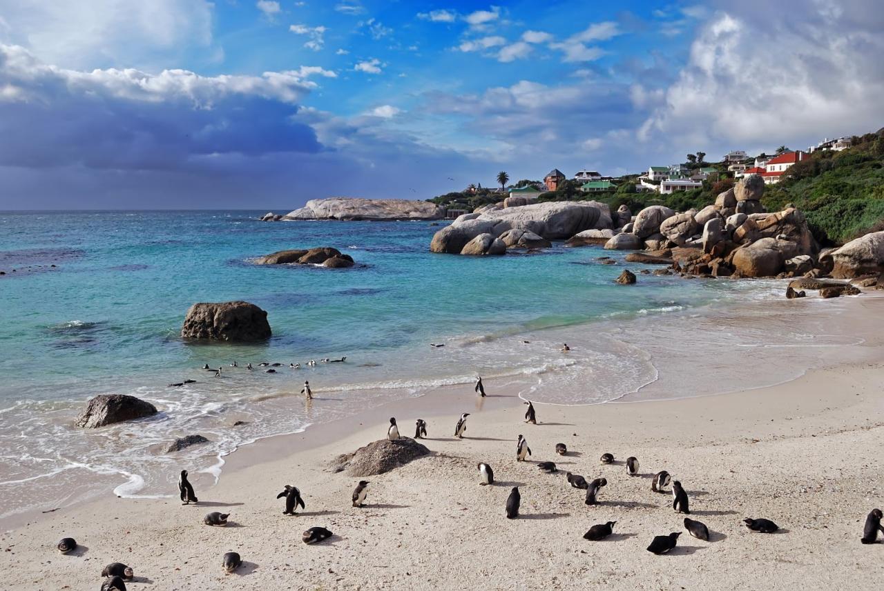 Amazing Places - Simon’s Town - South Africa (by Pe_Wu)