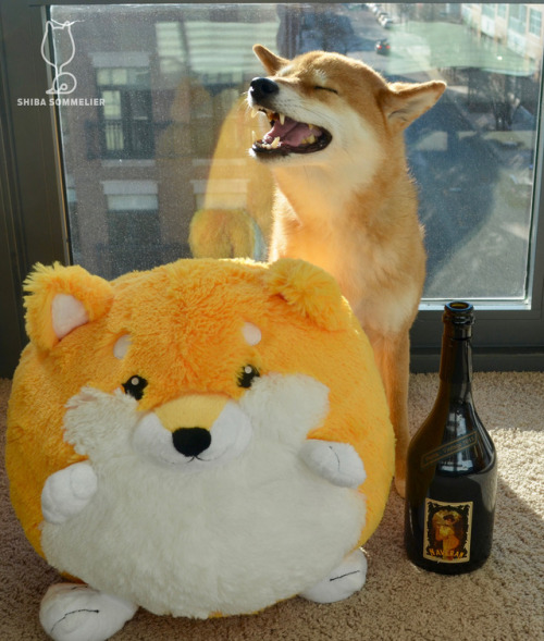 squishable shiba inu