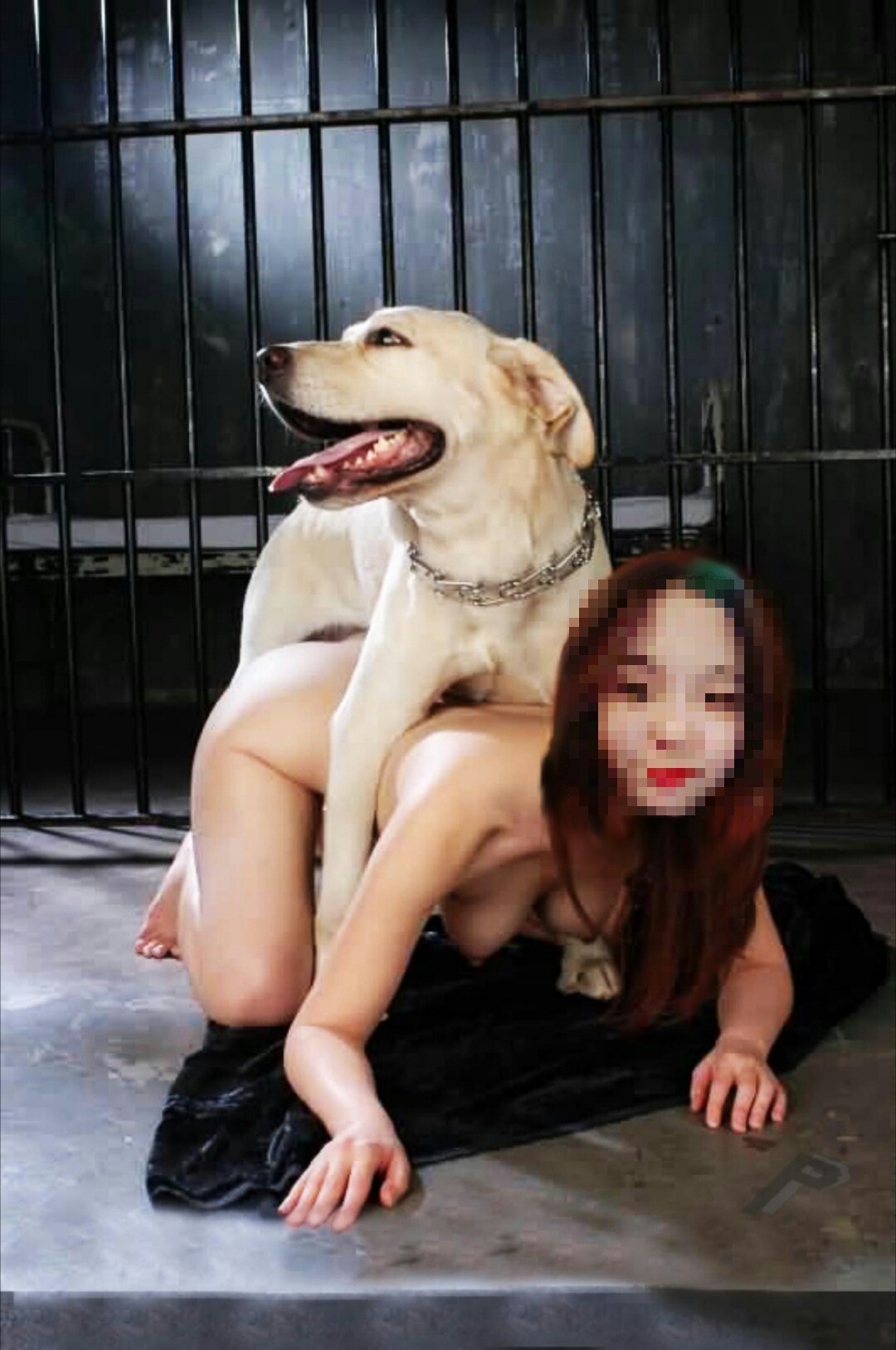 собака насилует азиатку фото 70
