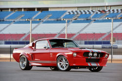 @Mustang Fanatic