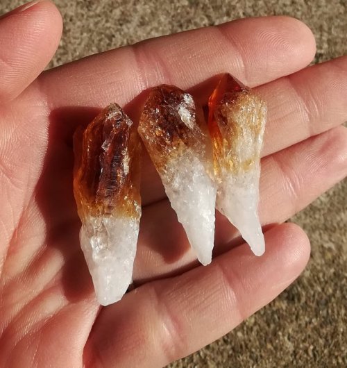 citrine golden citrine crystals crystals crystal points mineral specimen healing crystals gemstone meditation crystal metaphysical reiki crystals energy work light worker magick witchy things CrystalsofTheMyst etsy for sale selling