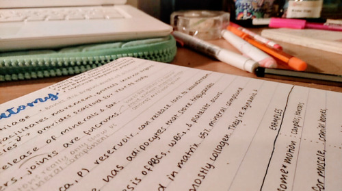 study student students studying study tips new studyblr vet vet schoo vet student vets vetblr london londonuni university new student new tumblr studywithyashu Aesthetic notes handwriting mildliner new studyspo studyspo rant vet school calligraphy hand lettering crayola