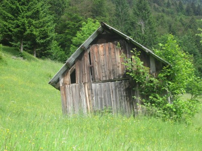 sheds barn sheds Tumblr