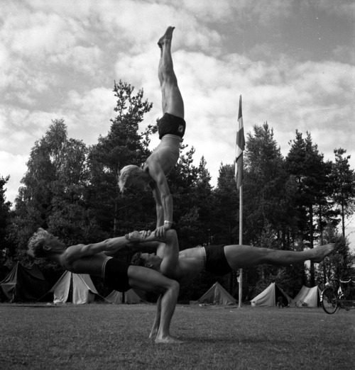 vintage-sweden:Gymnasts, 1949, Sweden.