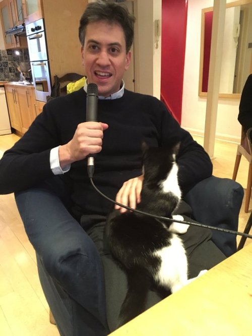 politiciansandanimals:“Ed Miliband brought my cat back...