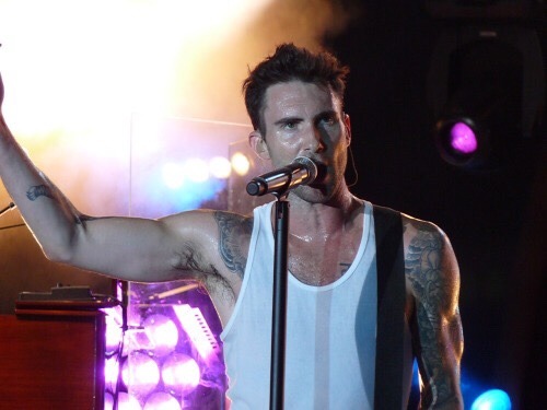 malecelebarmpits:Adam Levine 1