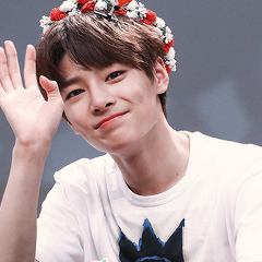 Image result for stray kids flower crown