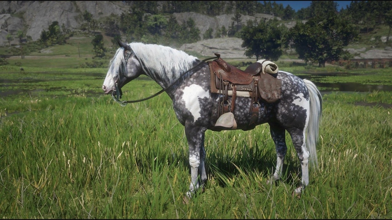 Silver Dapple Pinto Rdr2   Tumblr Pk6hgtczPW1sevqgp 1280 