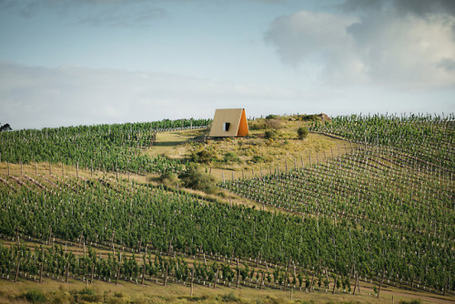 goodwoodwould:Good religious wood - stunning minimalist chapel...