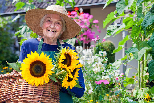 saintpanic:Doreen chuckled. “You mean the chaos emeralds,...