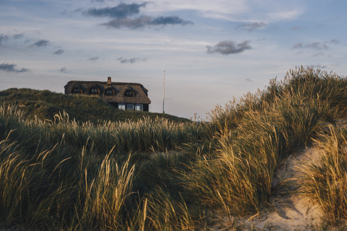 piavalesca:a house in the dunes