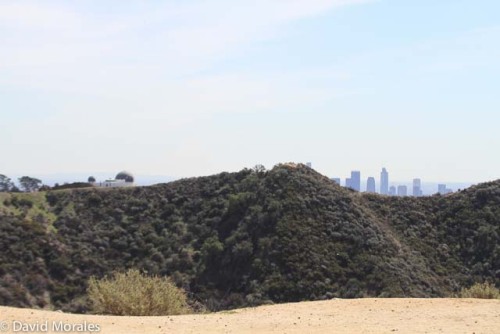 #Griffith Park Los Angeles 