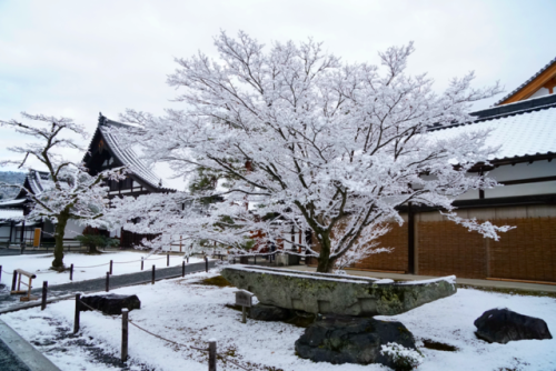 chitaka45:京都 金閣寺 ❄️雪景色❄️2018.1.14kyoto kinkakuji 14.1.2018