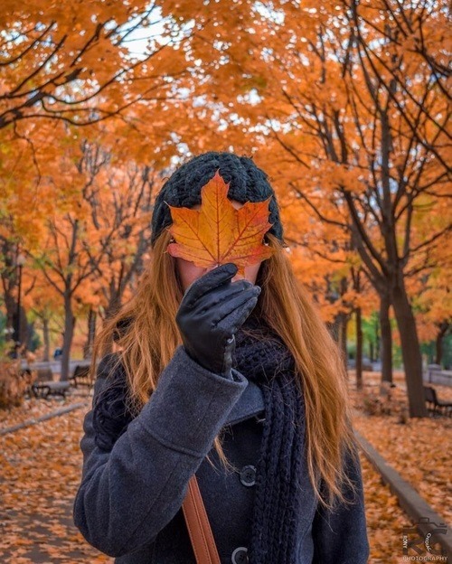 sweatersscarvesandsweets:want more fall/autumn/halloween on...