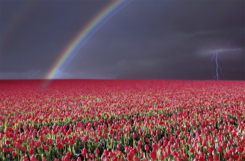 Some of the 25 Beautiful Rainbow Pictures assembled by Ants Magazine