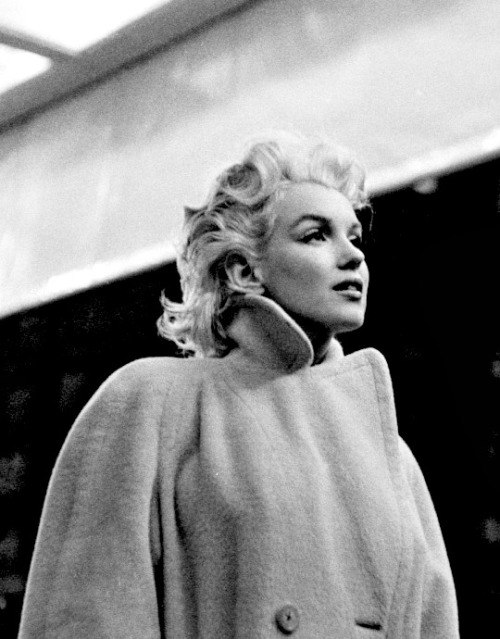 alwaysmarilynmonroe:Marilyn by Ed Feingersh in March 1955.