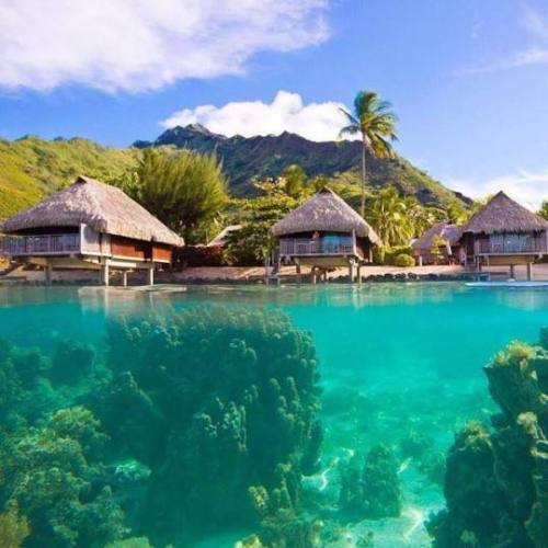 different-landscapes:Moorea island, French Polynesia