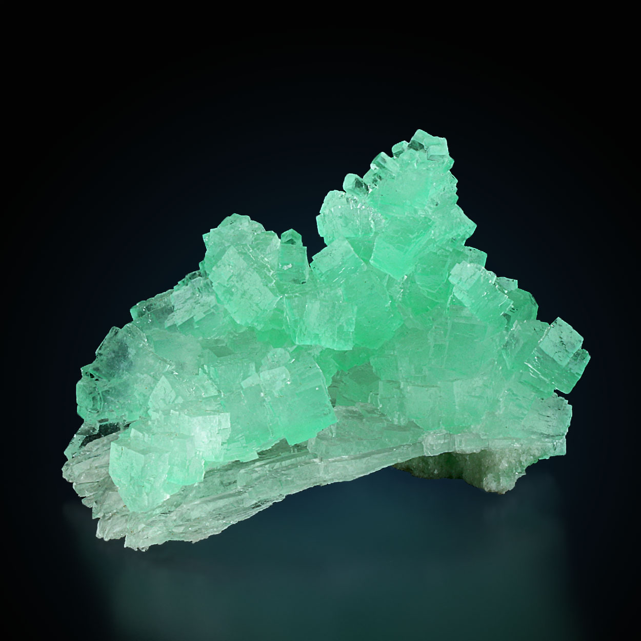 Halite With Herbertsmithite Amazing A Love For Minerals