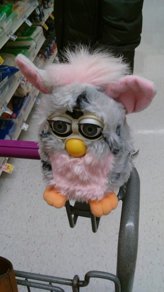 the new furbies