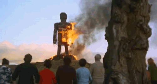 Image result for the wicker man 1973 gif