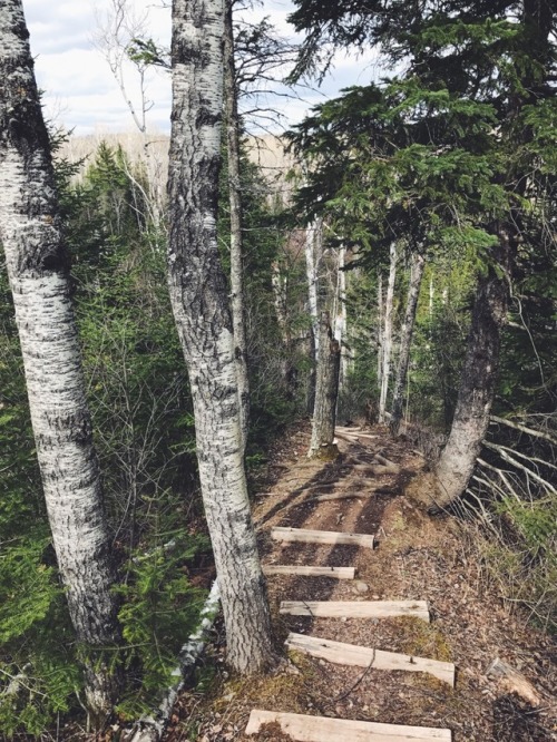 forloveandrunning:Always take the steps least sturdy Superior...