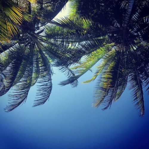 #positionupdate #beachreading #fnq (at Four Mile Beach Port...