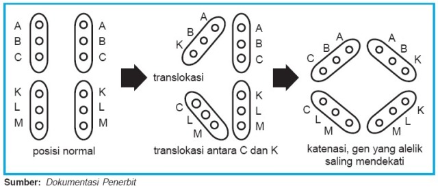 Penyelamat UN Biologimu