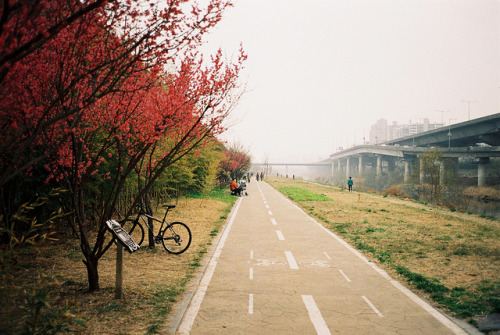 priveting:Riding Season by Seiman C on Flickr.