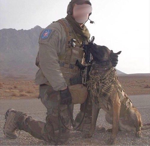 specialforceoperator:USMC Raider and Military Working Dog.