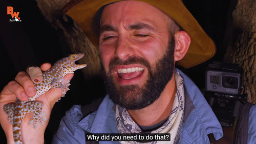 hitamory-dead-blog:All you need to know about coyote peterson...