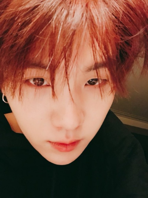 allforbts:180916 Yoongi’s Tweet내일 봐용See you tomorrowTrans...