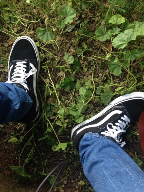 vans shoes on Tumblr