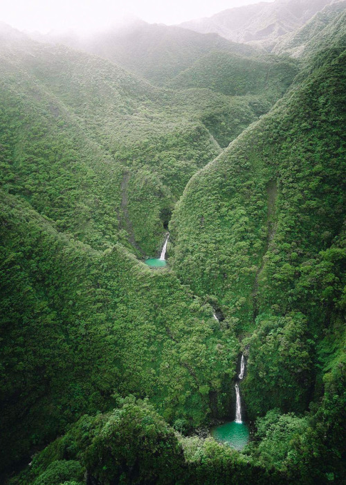 coiour-my-world:Sacred Falls, Oahu, Hawaii | by @kalenemsley