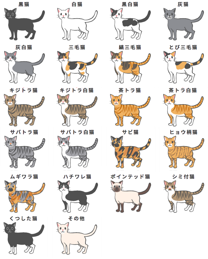 I made this cat colour chart using the images... Nihongogogo!