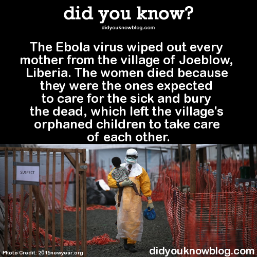 the-ebola-virus-wiped-out-every-mother-from-the